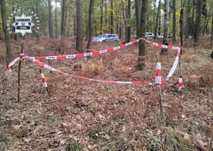 Na zdjęciu obszar w lesie odgrodzony taśmą policyjną. W tle radiowozy policji.