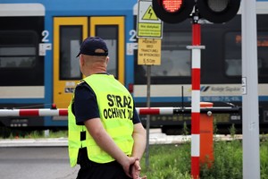 Na zdjęciu