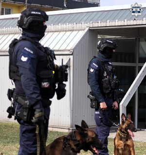 Kolorowe zdjęcie policjantów z psami służbowymi.