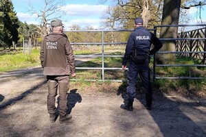 Umundurowany policjant oraz strażnik leśny obserwujący tereny leśne.