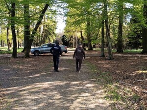 Umundurowany policjant oraz strażnik leśny patrolujący tereny leśne.