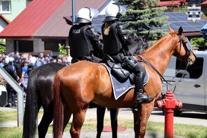 Umundurowany policjant i policjantka na koniach. W tle widoczni kibice.