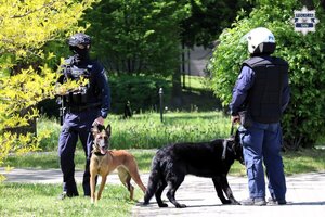 Dwóch umundurowanych policjantów z psami służbowymi. Policjanci ubrani w kaski ochronne.
