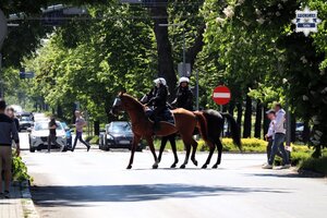 Policja konna przejeżdża przez jezdnię  po przejściu dla pieszych.