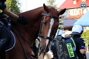 Koń służbowy, w tle umundurowany policjant z torbą medyczną.