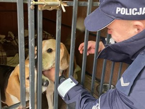 policjant podaje rękę psu do powąchania