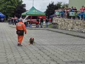 kobieta strażak stoi obok swojego psa do poszukiwań zaginionych osób