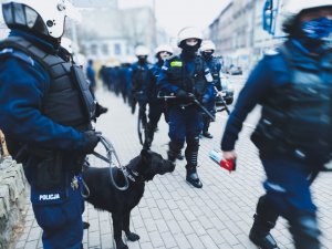 Policjanci z psami podczas Zabezpieczenia meczu Górnika Zabrze z Legią Warszawa
