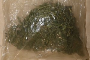 Na zdjęciu widoczny susz roślinny w foliowym woreczku.