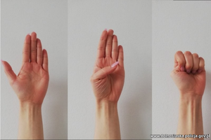 Ręka ( dłoń w trzech pozycjach: otwarta, z kciukiem skeirowanym do wewnątrz i zamknięta )