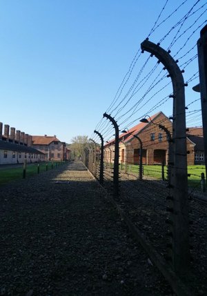 Miejsce pamięci Auschwitz.  Na zdjęciu widoczne ogrodzenie z drutów kolczastych. W tle widać budynki.