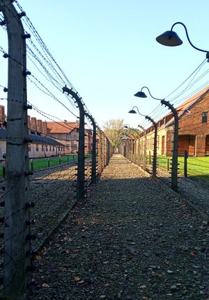 Wizyta w miejscu pamięci Auschwitz. Na z djęciu wiodczne ogrodzenia z drutów kolczastych.