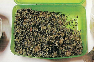 Na zdjęciu widoczny plastikowy pojemnik z suszem roślinnym.