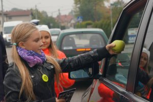 Żorska akcja &quot;Jabłko, czy cytryna?&quot;