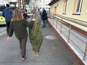 Na zdjęciu widać osoby przebrane w kolorowe stroje, kobietę niosącą choinkę.