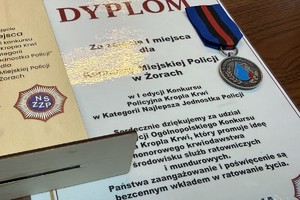 Na zdjęciu widać dyplom, statuetkę drewnianą i odznaczenie.