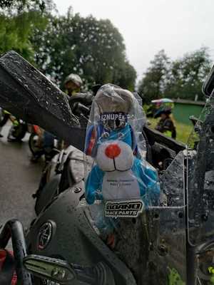 Zdjęcie kolorowe maskotka sznupka na motocyklu