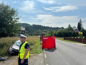 zdjęcie kolorowe policjant podczas czynności na miejscu zdarzenia