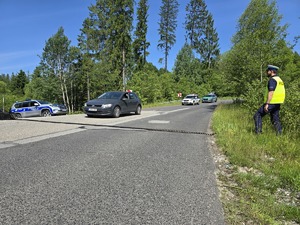 samochód zatrzymujący się przed kolczatką rozłożoną na drodze