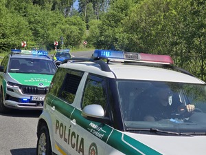 samochód policji słowackiej polskiej i straży granicznej