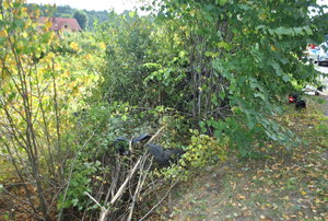 zdjęcie kolorowe, samochód na boku leży w krzakach