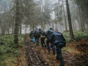 zdjęcie kolorowe, policjanci chodzą po masywie leśnym