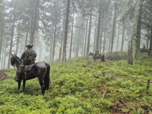 zdjęcie kolorowe, żołnierz na koniu