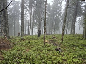 kolorowe zdjecie strażnik graniczny i policjant podczas działań