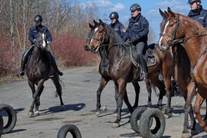 Ćwiczenia Policji Konnej i mundurowych z katowickiego oddziału prewencji